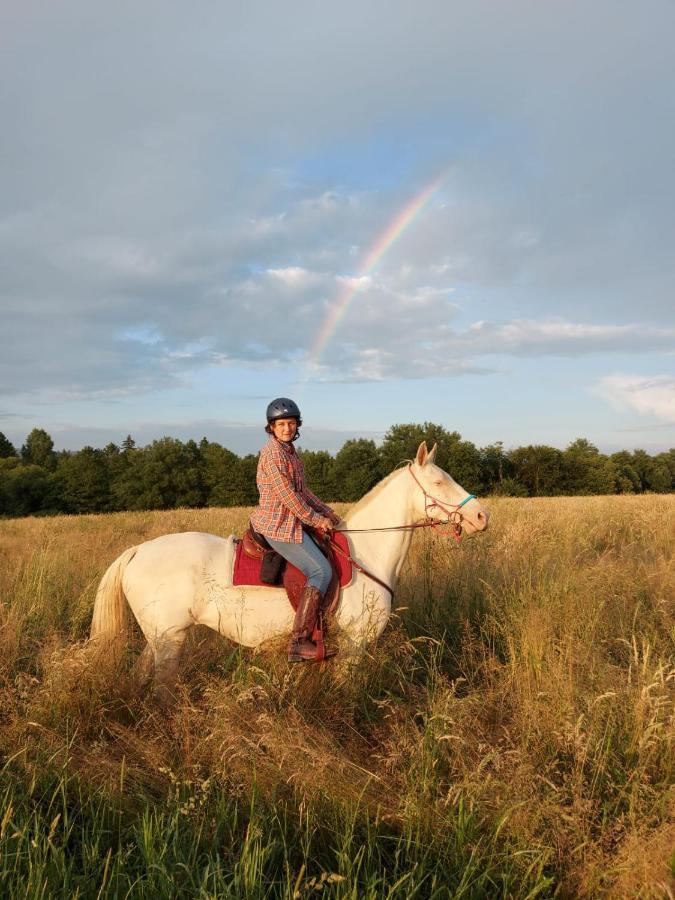 Caloroczne Jurty Mongolskie - "Domy Slonca" Kłodzko Buitenkant foto